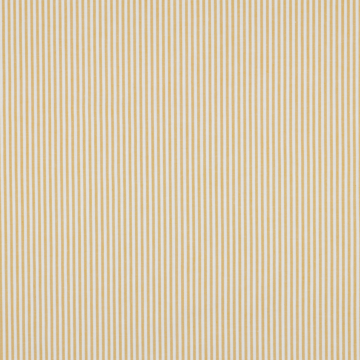 /H/i/HighRes_02510_045_1_1.jpg