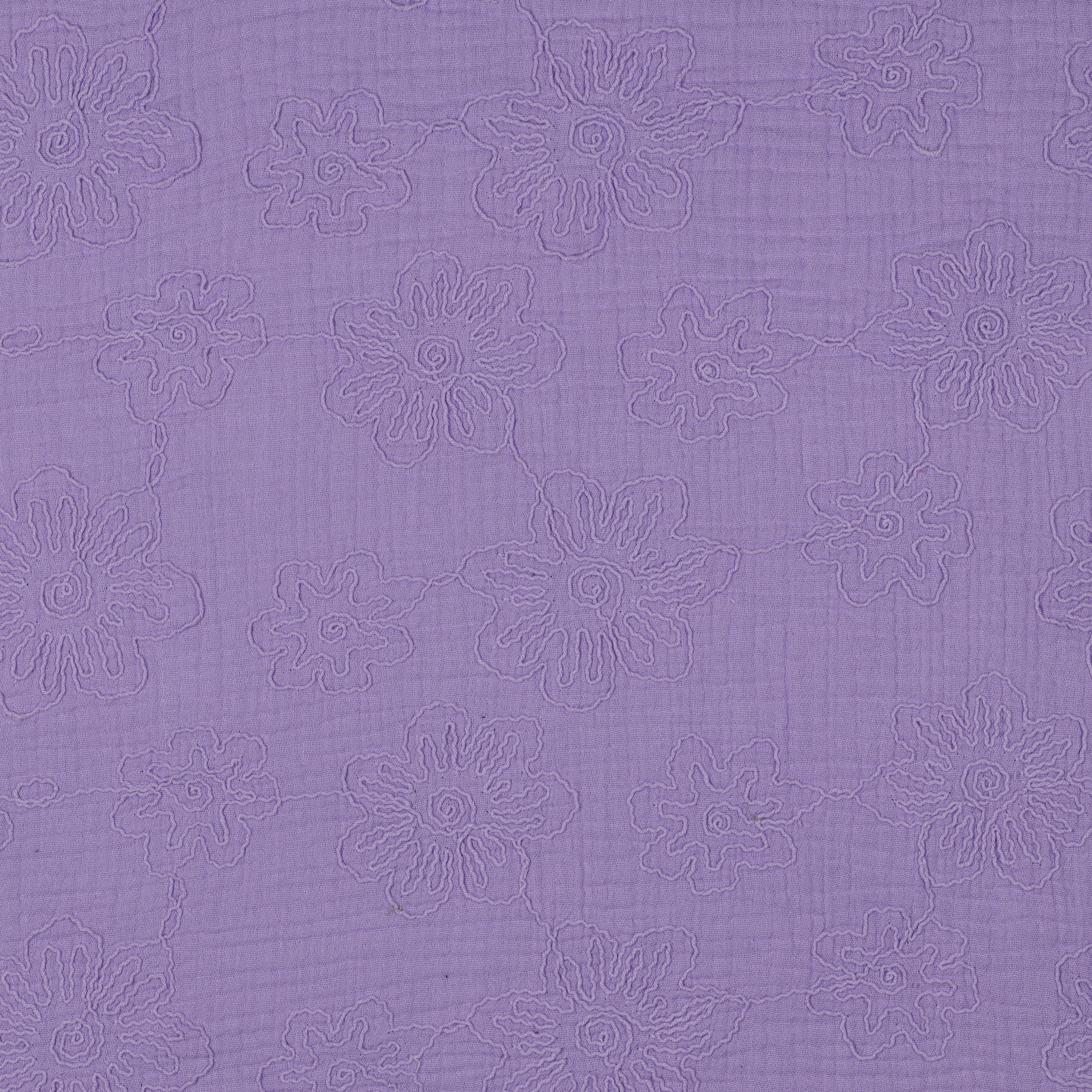/H/i/HighRes_03649_067.jpg