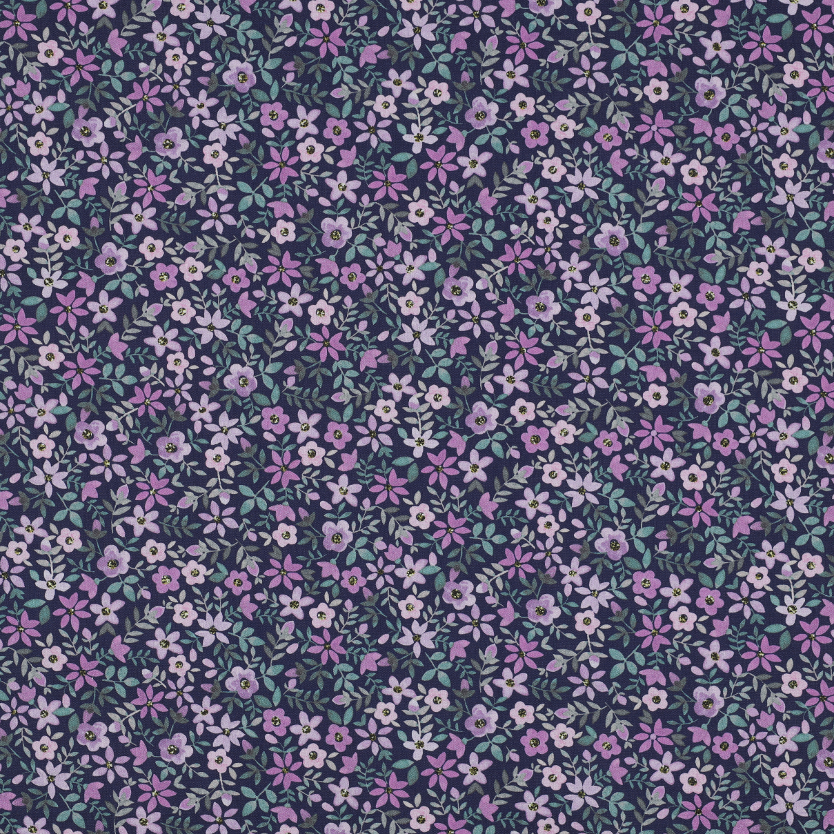 /H/i/HighRes_04080_003.jpg