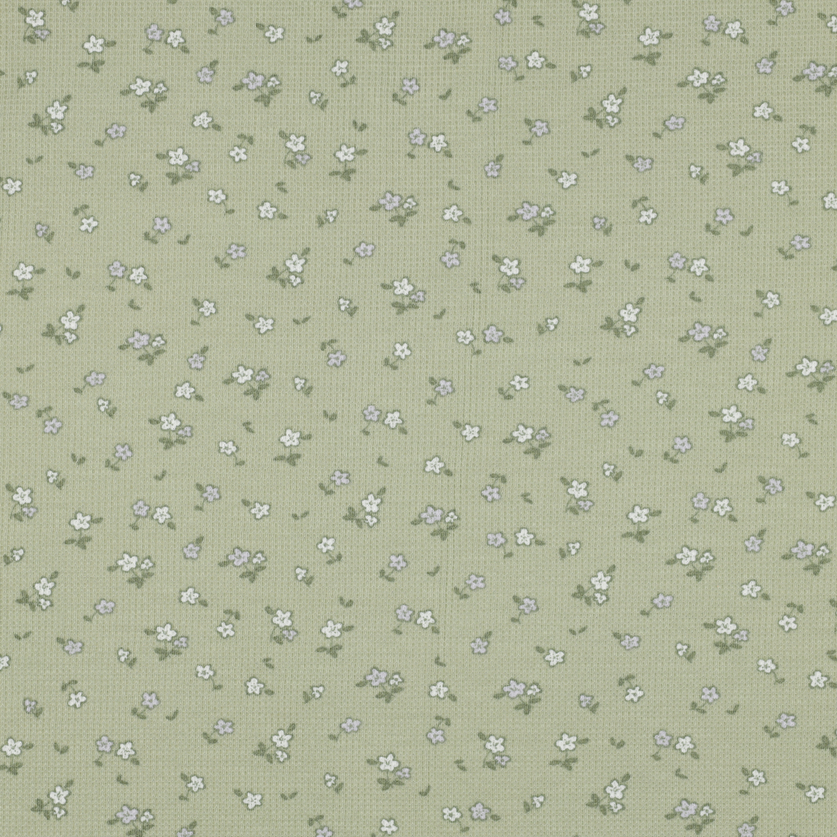/H/i/HighRes_04172_004.jpg