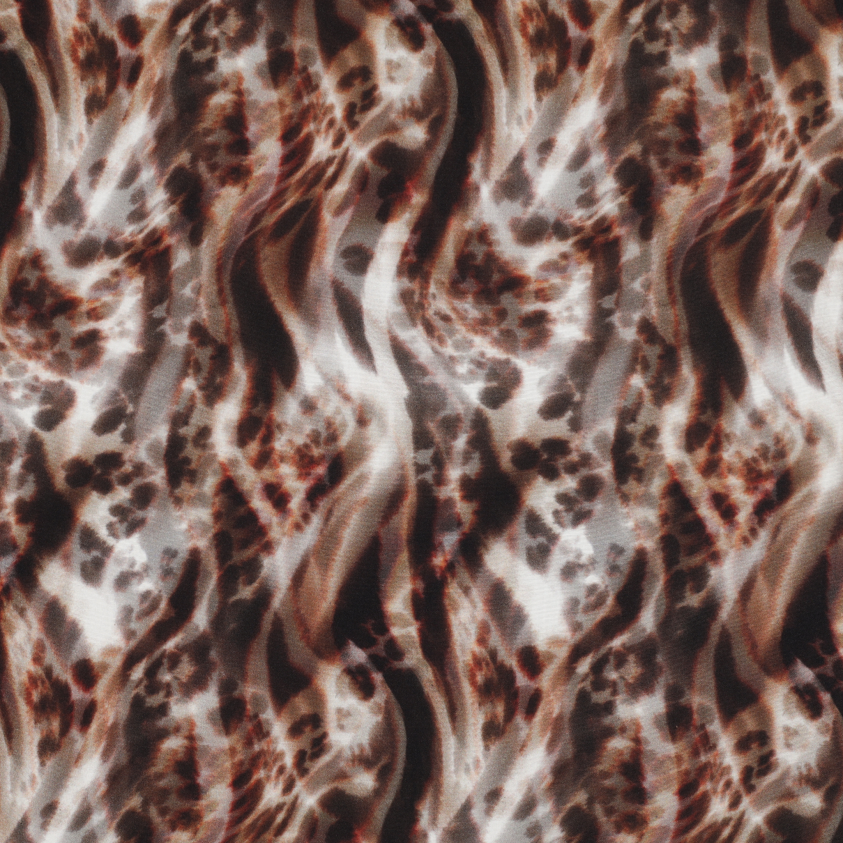 /H/i/HighRes_04255_001.jpg