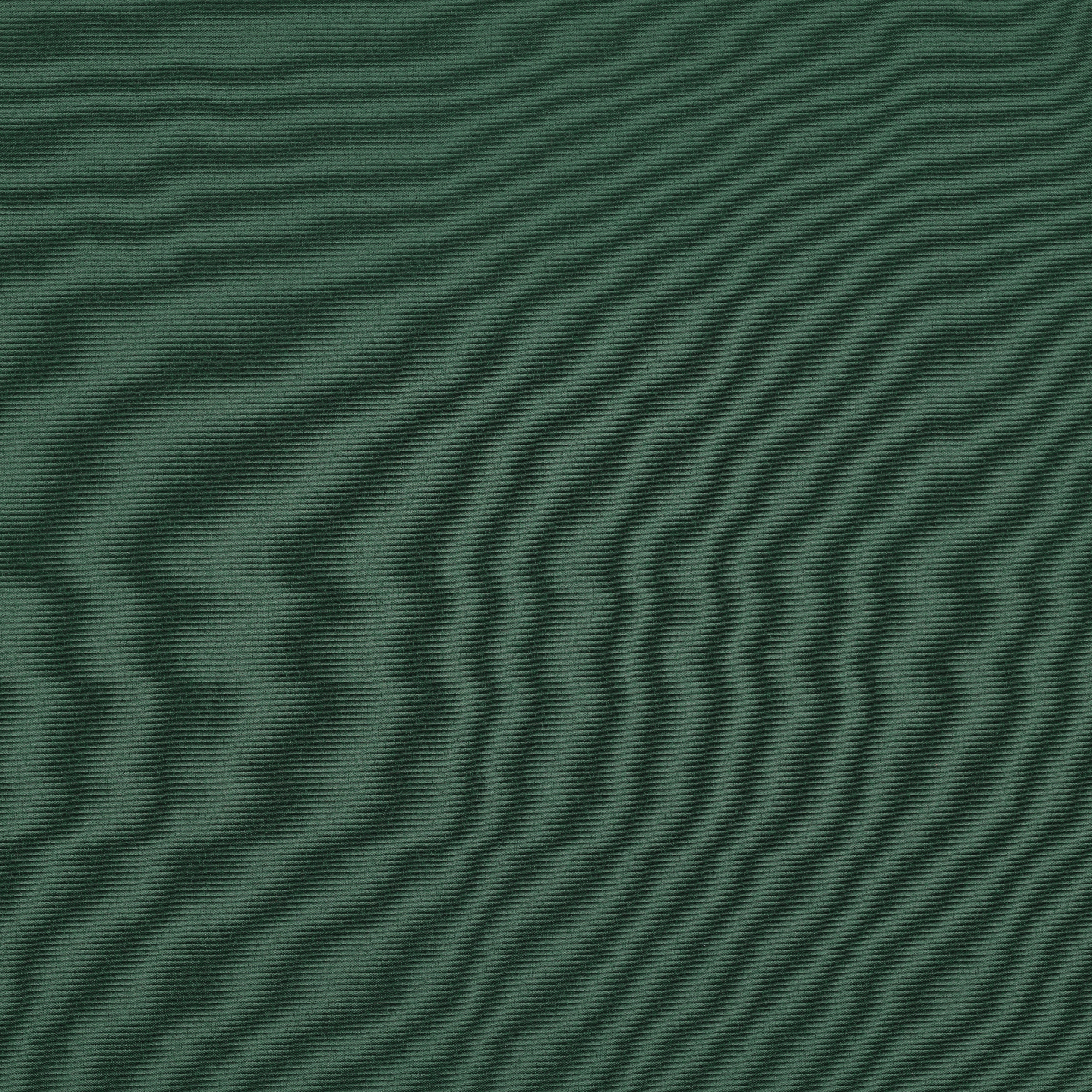 /H/i/HighRes_05124_025_1_1.jpg