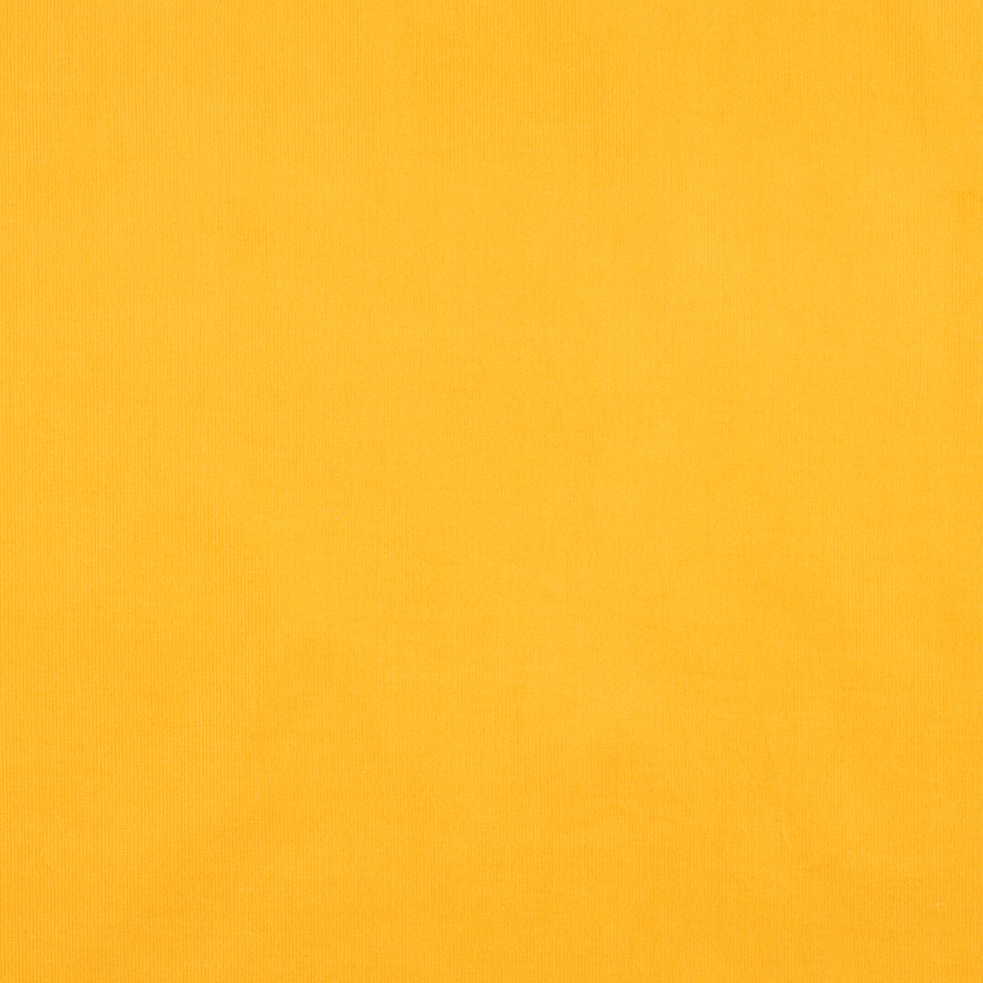 /H/i/HighRes_05126_080_1_1.jpg