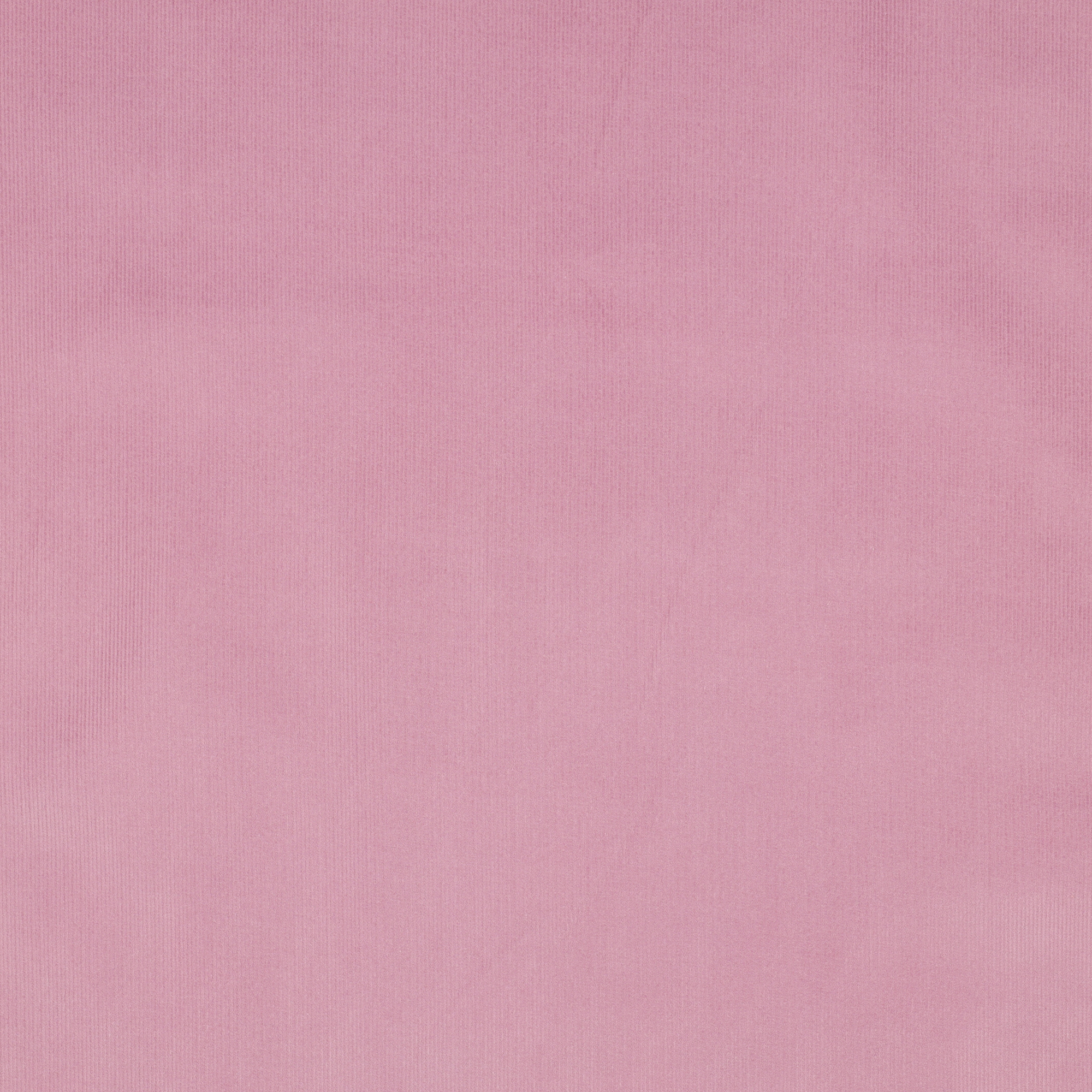 /H/i/HighRes_05126_084_1_1.jpg