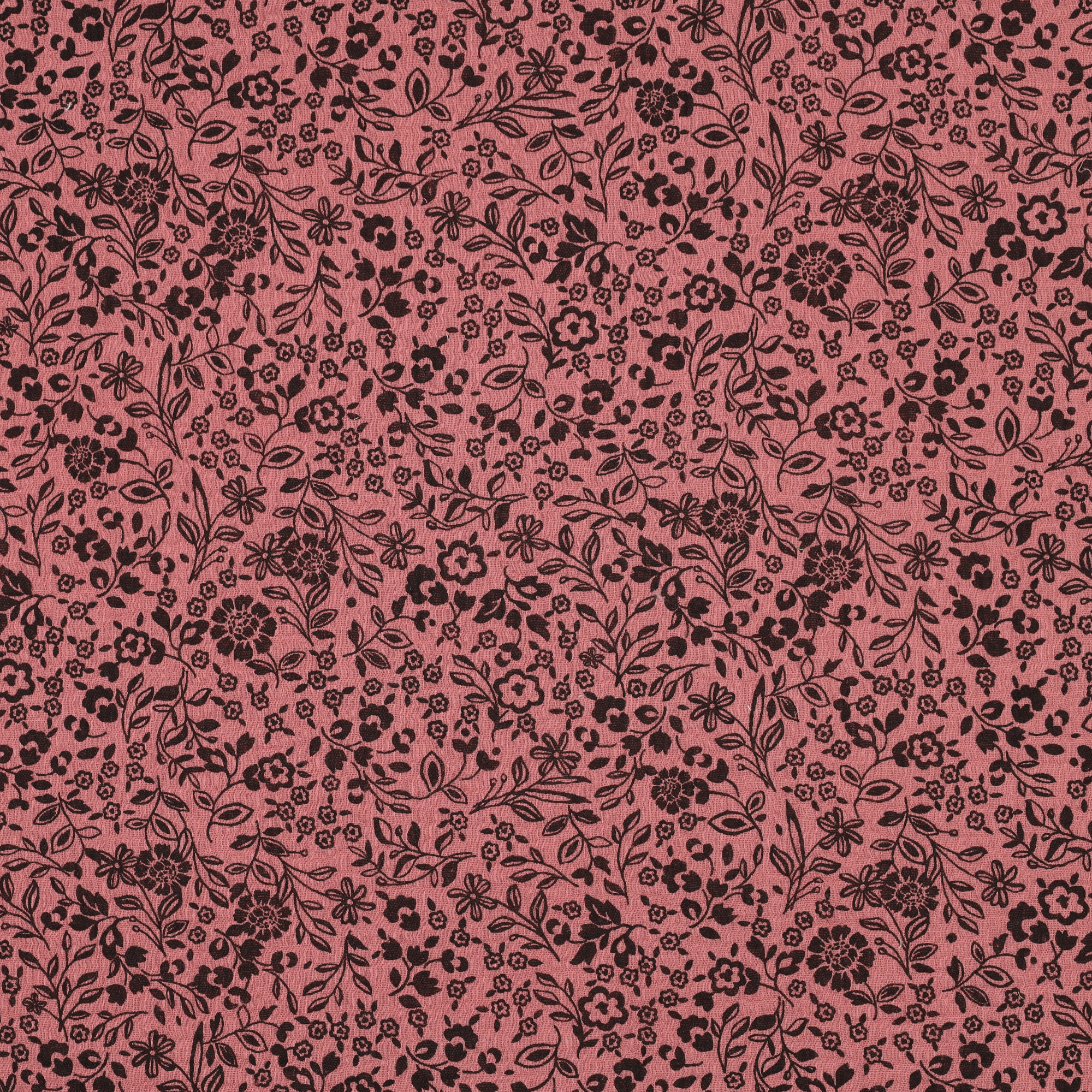 /H/i/HighRes_05129_005.jpg