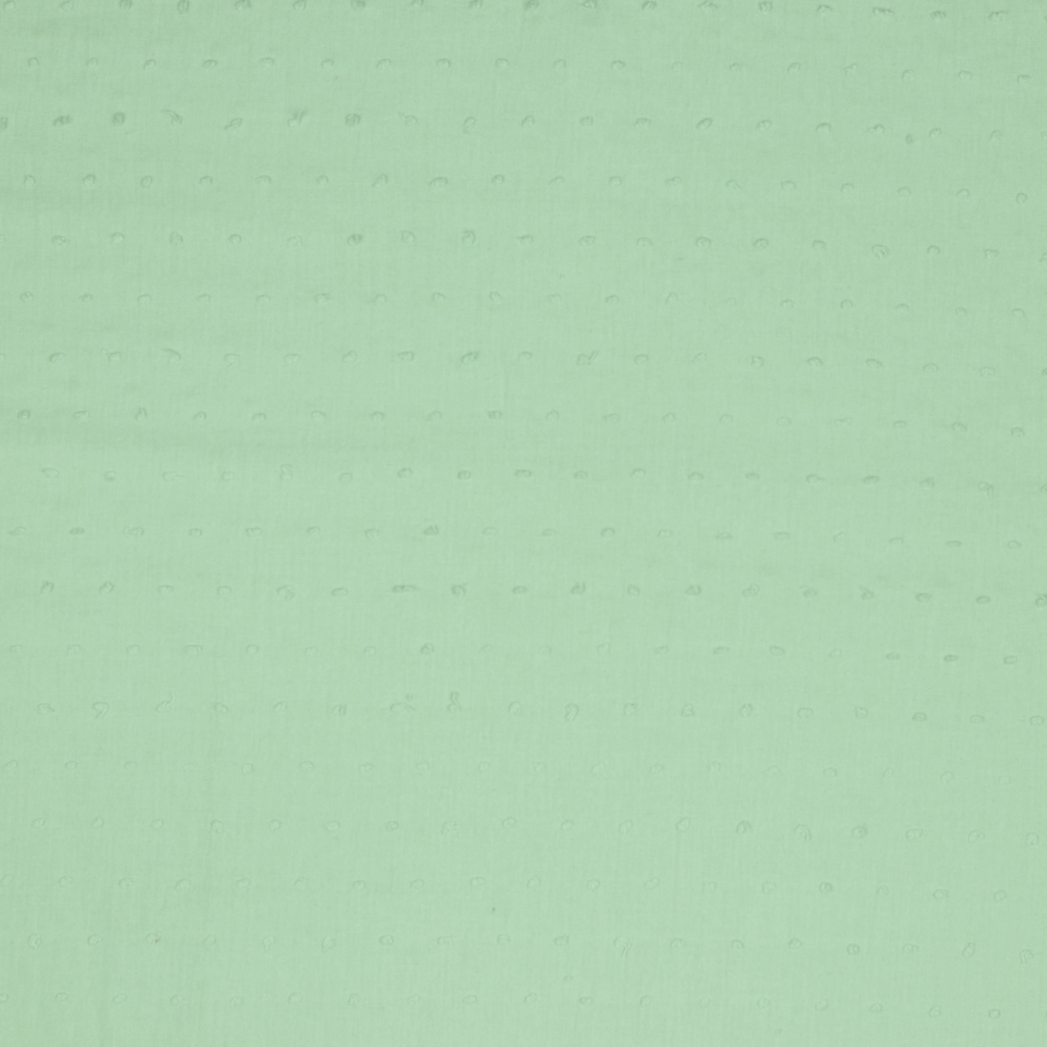 /H/i/HighRes_05738_025.jpg