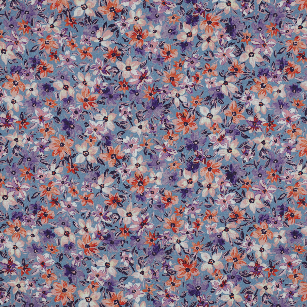/H/i/HighRes_05855_006.jpg