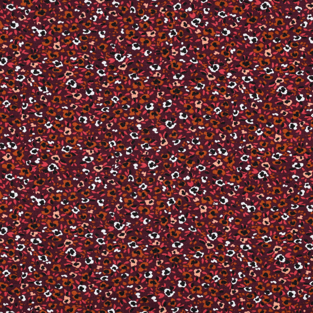 /H/i/HighRes_06075_056.jpg