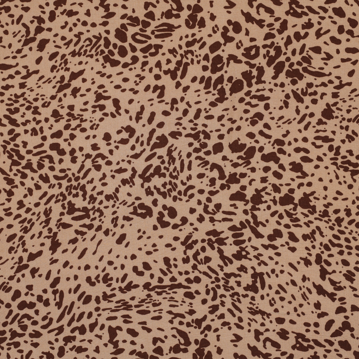 /H/i/HighRes_06156_002.jpg