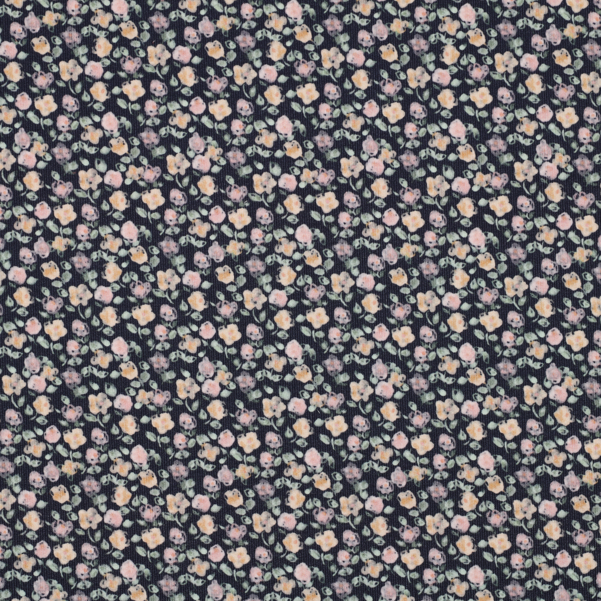 /H/i/HighRes_06308_003.jpg