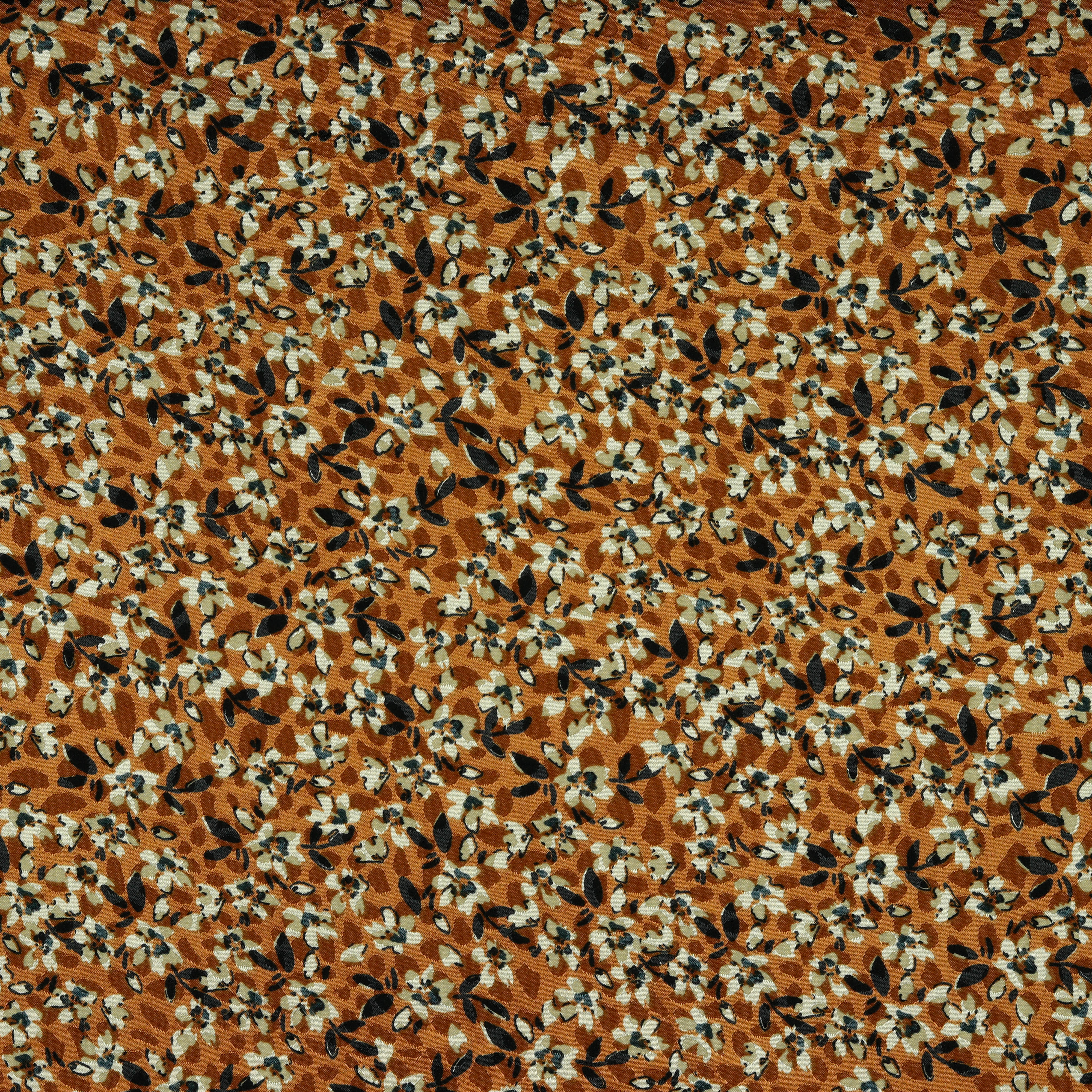 /H/i/HighRes_09583_001_3.jpg