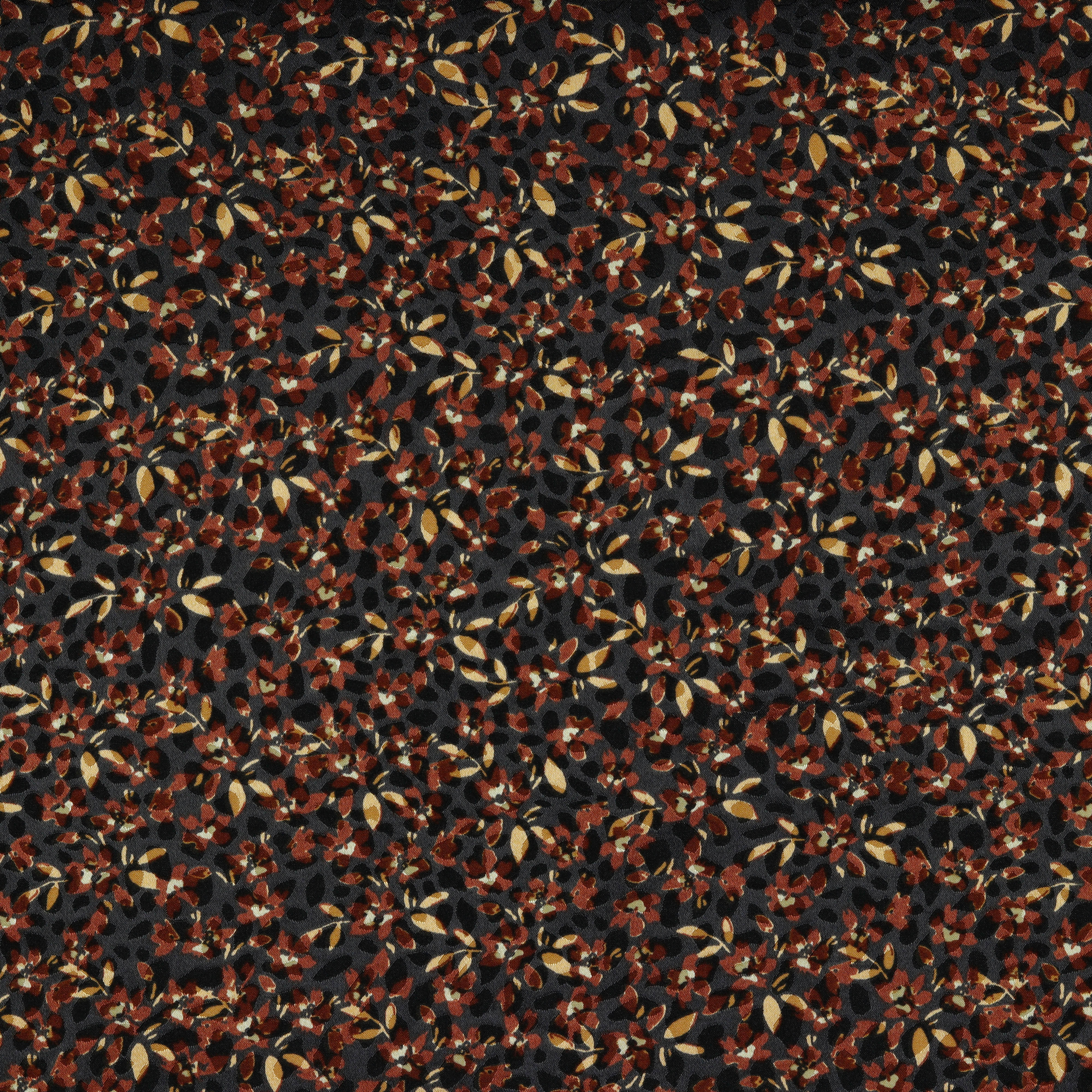 /H/i/HighRes_09583_002_3.jpg