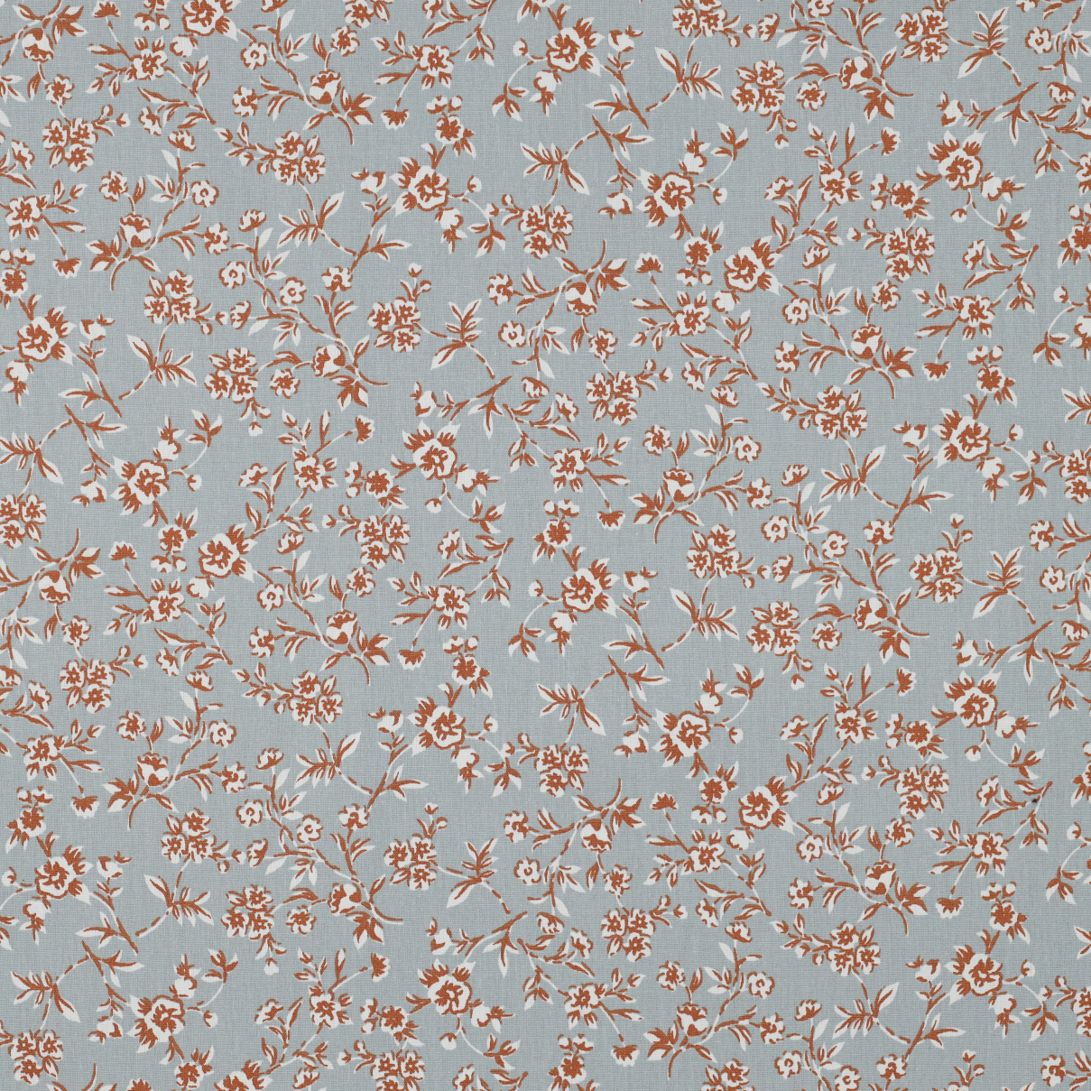 /H/i/HighRes_C5971_015_3.jpg