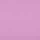 CANVAS - PURPLE