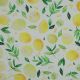 FINE POPLIN DIGITAL LEMON - WHITE