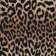 FRENCH TERRY DIGITAL ANIMAL SKIN - LIGHT BROWN