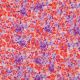 JERSEY DIGITAL FLOWERS - LILAC