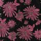 JACQUARD FLOWERS - BLACK / PINK
