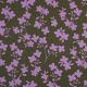 ROSELLA STRETCH FLOWERS - ARMY GREEN