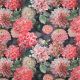 CANVAS DIGITAL FLOWERS - RED