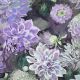 CANVAS DIGITAL FLOWERS - PURPLE