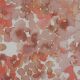 RIB JERSEY DIGITAL FLOWERS - PEACH