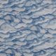 SOFTSHELL DIGITAL MOUNTAINS - WHITE / LIGHT BLUE