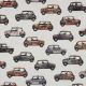 CANVAS DIGITAL CARS - LINEN