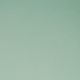 COTTON POPLIN - DARK MINT