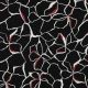 ROSELLA STRETCH FLOWERS - BLACK