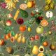 CANVAS DIGITAL FRUIT - PICKLE