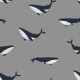 SOFT SWEAT WHALES - GREY