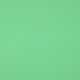 FRENCH TERRY GOTS - LIGHT LIME