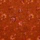 DOUBLE GAUZE DIGITAL PAISLEY - DARK ORANGE