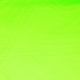 FRENCH TERRY NEON - NEON GREEN